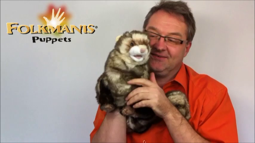 Video 2: Folkmanis hand puppet ferret